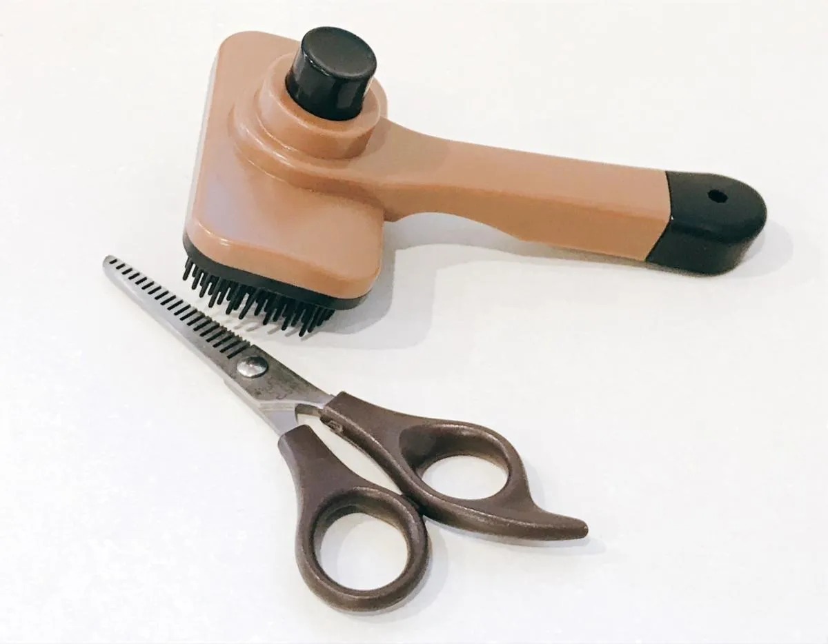 初めてのトリミングサロン選びに！基本メニューから人気オプションまで徹底解説