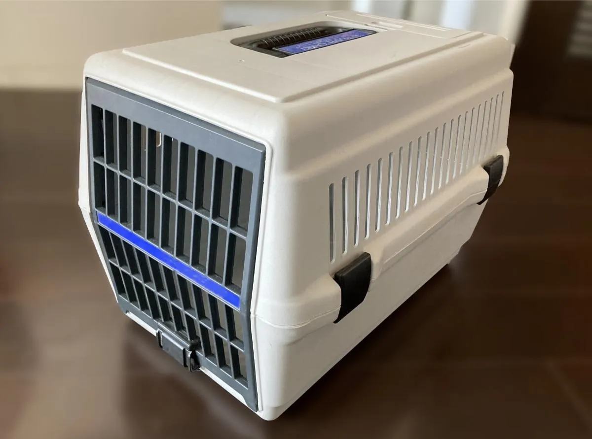 トリミングサロン送迎の選び方解説！安心対応と送迎の活用術