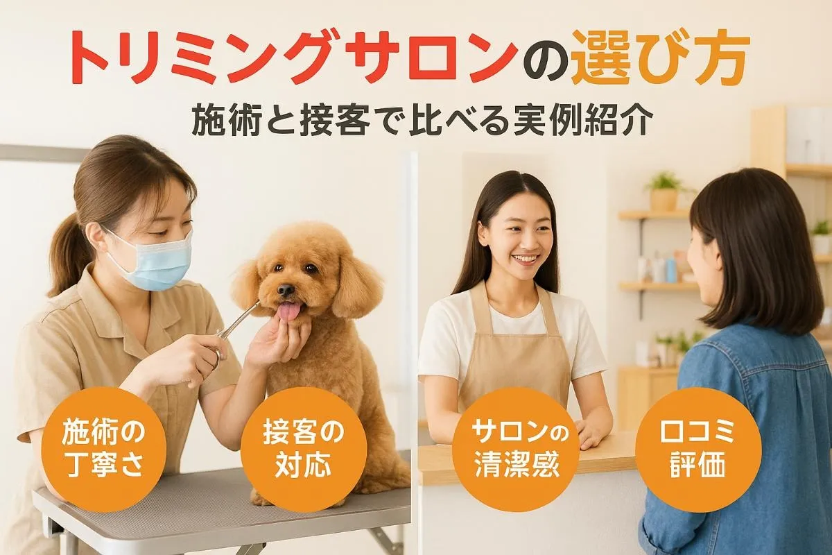 犬のトリミングサロンで後悔しない選び方！施術と接客を比較した実例ガイド