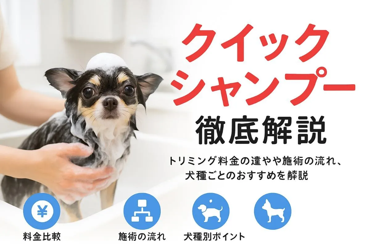 トリミングサロンのクイックシャンプー徹底解説｜料金比較・施術の流れと犬種別おすすめポイント